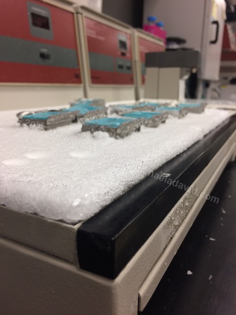 science_Photo Aug 03, 12 28 38 PM-2019.jpg